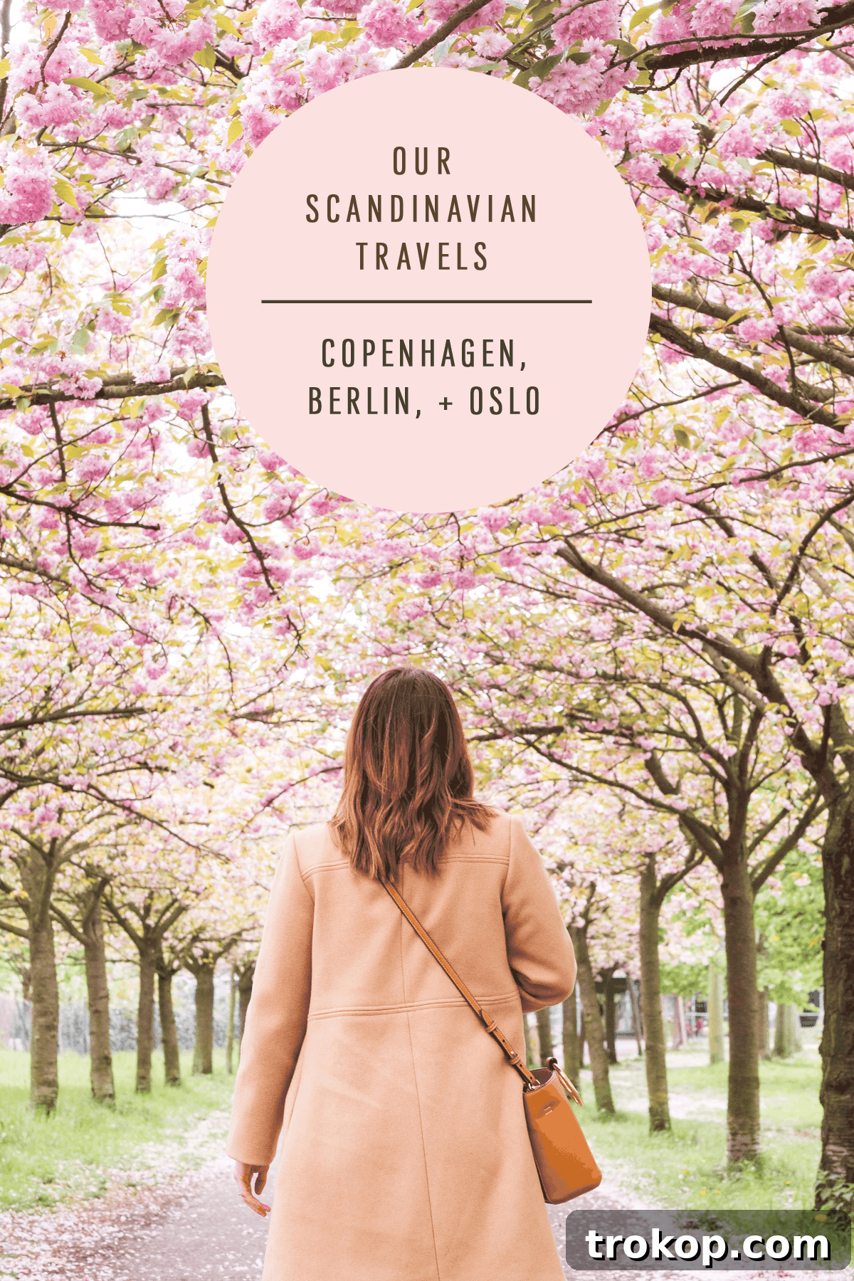 Copenhagen, Oslo & Berlin: A Nordic and German Journey 21 Stunning cherry blossoms in full bloom at Bernholmer Strabe in Berlin, a hidden urban gem