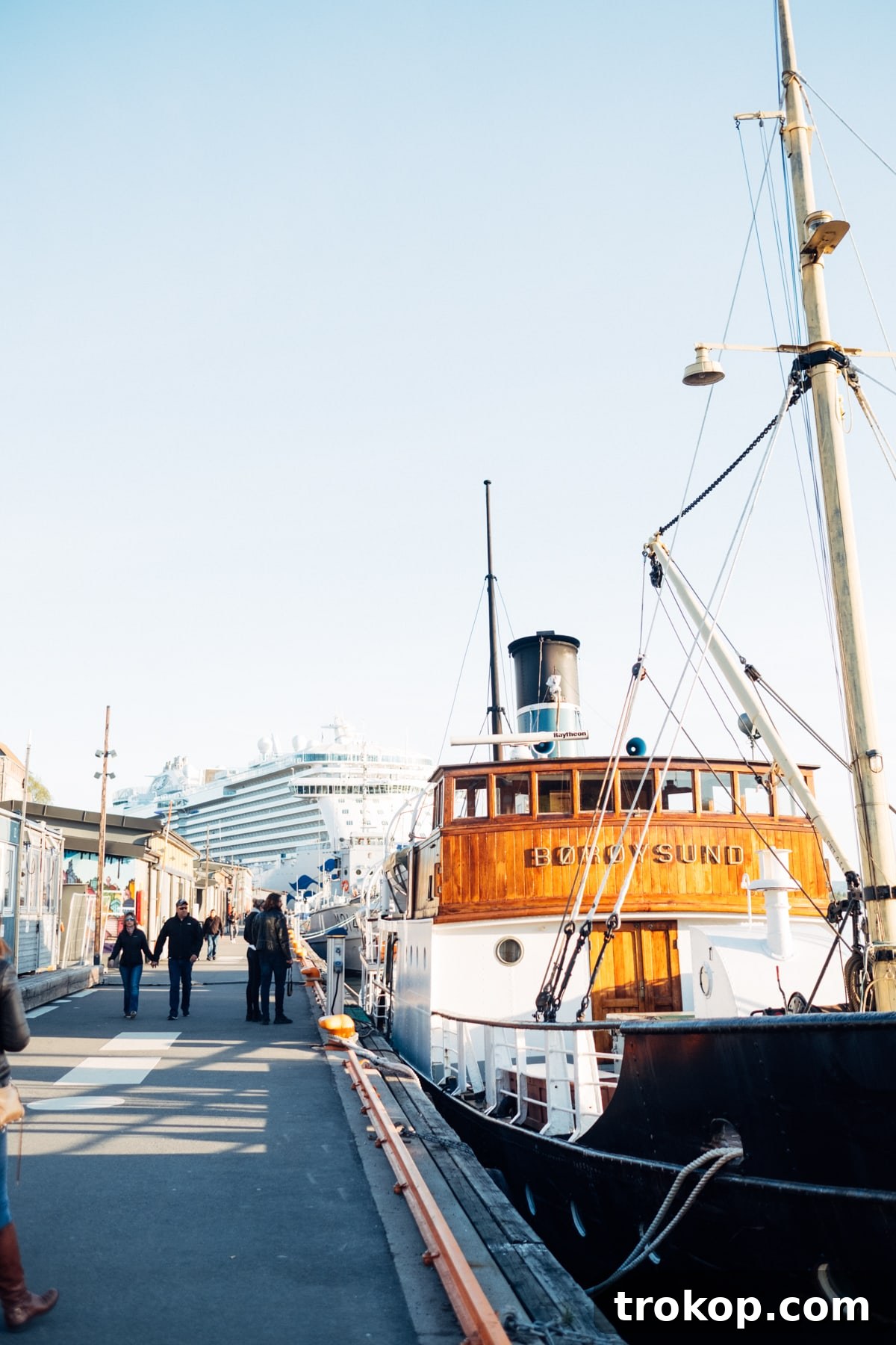 Copenhagen, Oslo & Berlin: A Nordic and German Journey 8 A couple enjoying a romantic moment on a Princess Cruise ship, sailing through scenic Scandinavian waters