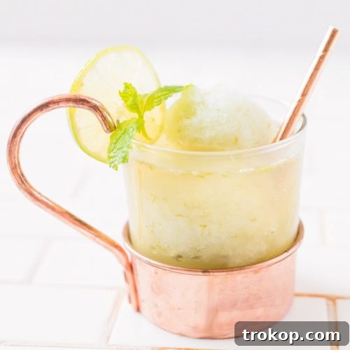 Moscow Mule Float by Ashley Rose of Sugar & Cloth, a top lifestyle blog in Houston, Texas