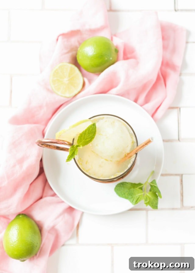 Saucepan with simple syrup ingredients for homemade lime sorbet