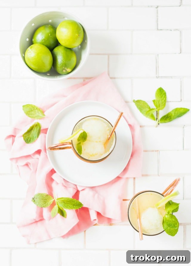 Collection of frozen cocktails, similar to Moscow Mule Float