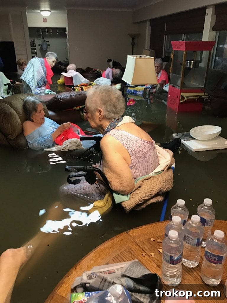 Houston's Storm Response: Updates and Harvey Relief Drive 6 Elderly residents waiting for rescue in waist-deep water inside a flooded senior citizens home
