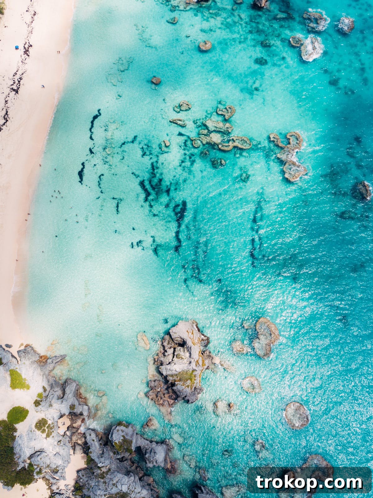 The iconic pink sands of Horseshoe Bay Beach, a must-visit in Bermuda