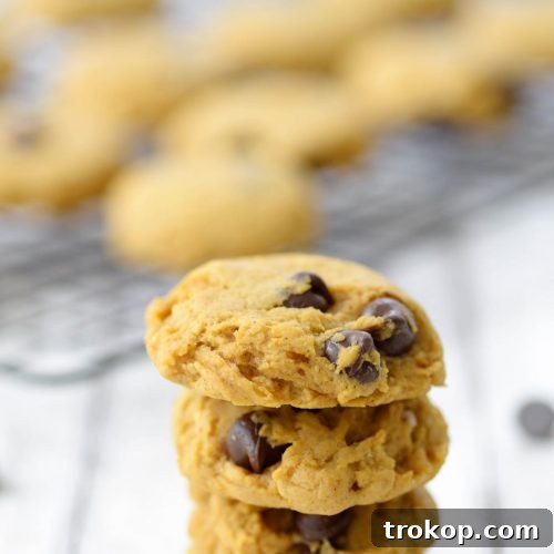 A plate of delightful pumpkin chocolate chip cookies, perfect for any occasion