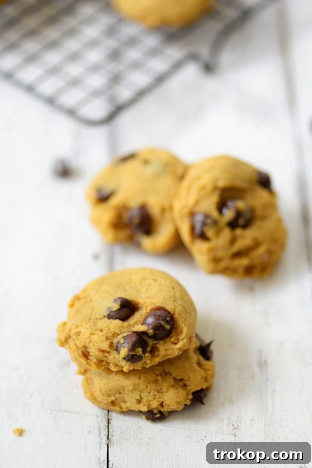 Ultimate Pumpkin Chocolate Chip Cookies 3 Close-up of a stack of soft and chewy pumpkin chocolate chip cookies, garnished with extra chocolate chips