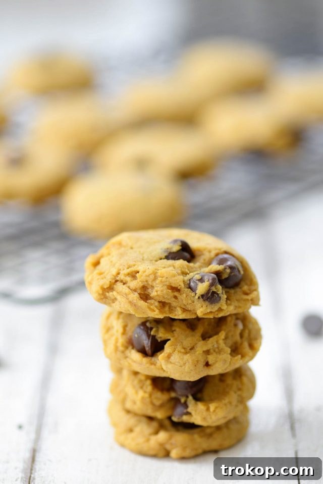 Ultimate Pumpkin Chocolate Chip Cookies 4 Bowl of wet ingredients for pumpkin chocolate chip cookies, including pumpkin puree and melted butter