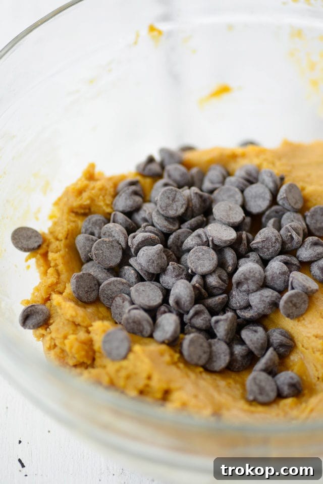 Ultimate Pumpkin Chocolate Chip Cookies 6 Pumpkin chocolate chip cookie dough being mixed with chocolate chips