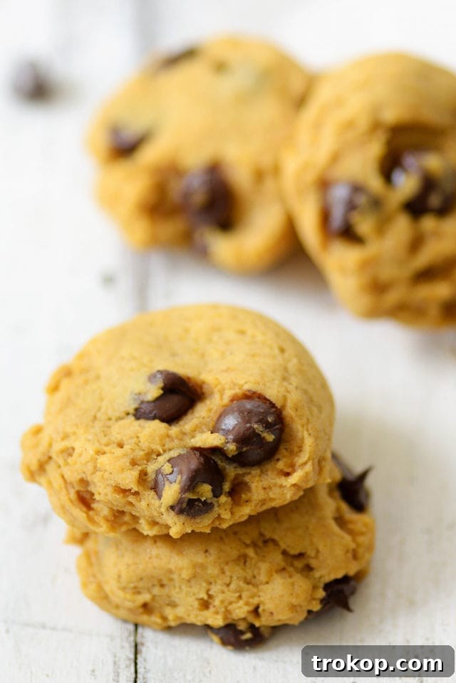 Ultimate Pumpkin Chocolate Chip Cookies 7 Freshly baked pumpkin chocolate chip cookies cooling on a wire rack