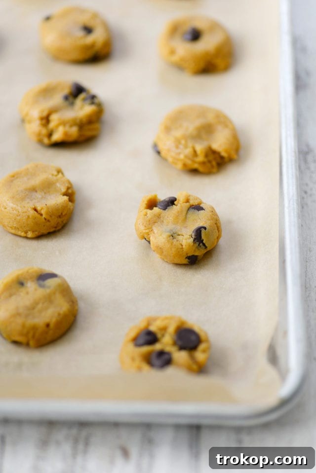 Ultimate Pumpkin Chocolate Chip Cookies 8 Delicious pumpkin chocolate chip cookies with a glass of milk, ready to be enjoyed
