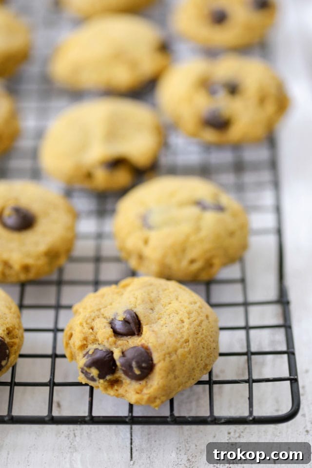 Ultimate Pumpkin Chocolate Chip Cookies 9 Close-up of a single perfectly baked pumpkin chocolate chip cookie on a white surface