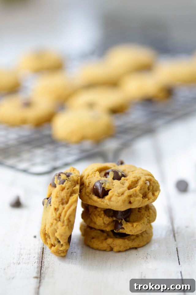 Ultimate Pumpkin Chocolate Chip Cookies 10 Platter of freshly baked Pumpkin Chocolate Chip Cookies, ready to serve