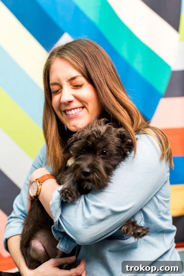 Giving Back: A FREE DIY Workshop at our Studio & BARC Houston Animal Adoption Event! - animal photography - by top Houston lifestyle blogger Ashley Rose of Sugar and Cloth