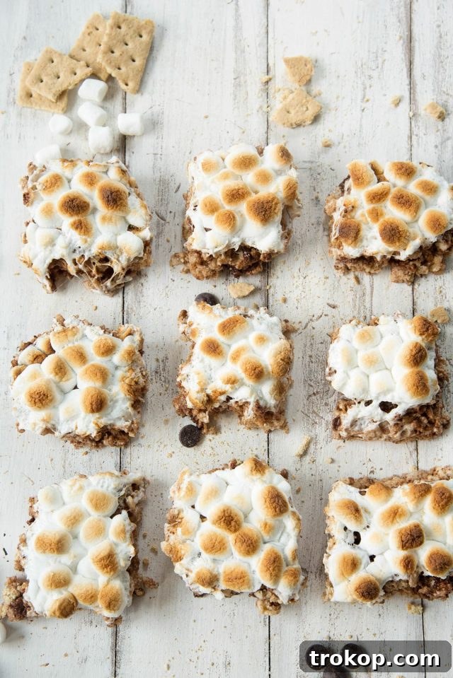 Campfire S'mores Krispie Delights 2 Toasted S'mores Rice Krispie Treats with golden brown marshmallows and a rich graham cracker base