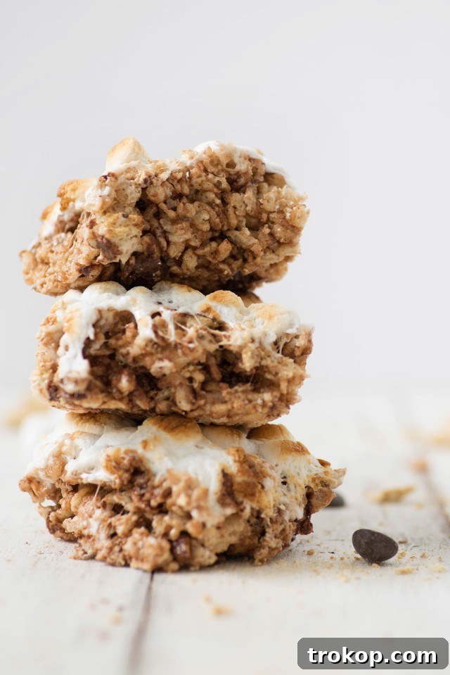Campfire S'mores Krispie Delights 3 Close-up of golden brown toasted marshmallows on S'mores Rice Krispie Treats