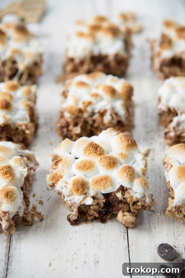 Campfire S'mores Krispie Delights 4 Ingredients for S'mores Rice Krispie Treats laid out on a table