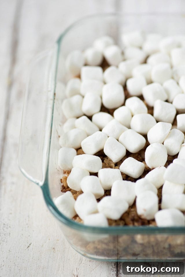 Campfire S'mores Krispie Delights 6 S'mores Rice Krispie Treats fresh out of the broiler with perfectly toasted marshmallows