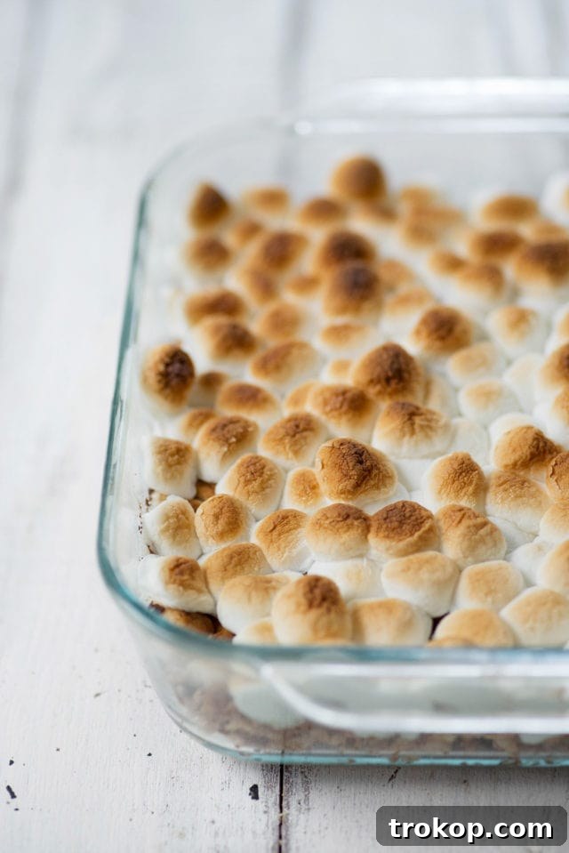 Campfire S'mores Krispie Delights 7 Stack of S'mores Rice Krispie Treats with toasted marshmallows