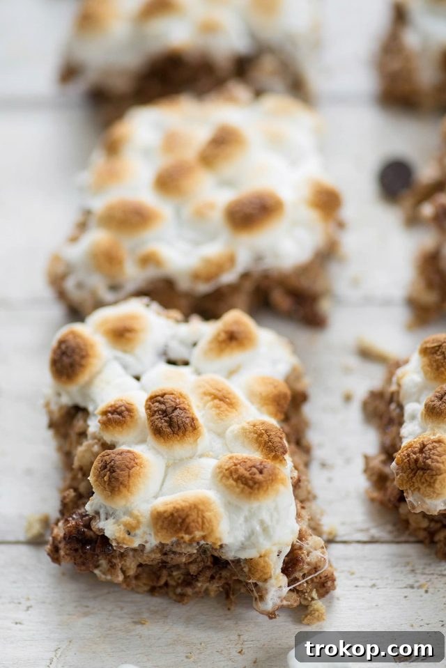 Campfire S'mores Krispie Delights 8 A serving of S'mores Rice Krispie Treats on a plate
