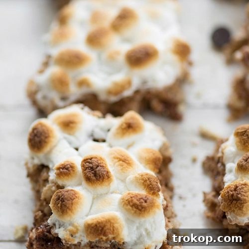 A serving of S'mores Rice Krispie Treats on a plate