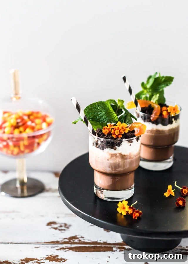 Close-up of a Boozy Dirt Cup with an elegant background
