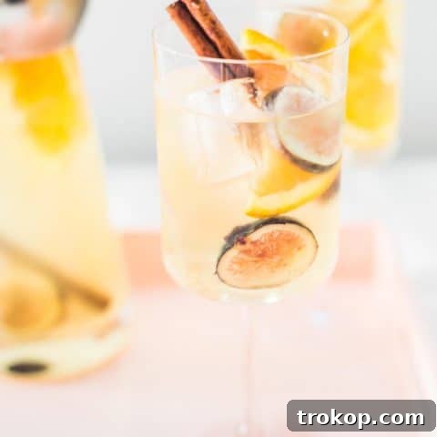 Autumn Fig Sangria Recipe by top Houston lifestyle blogger Ashley Rose of Sugar and Cloth