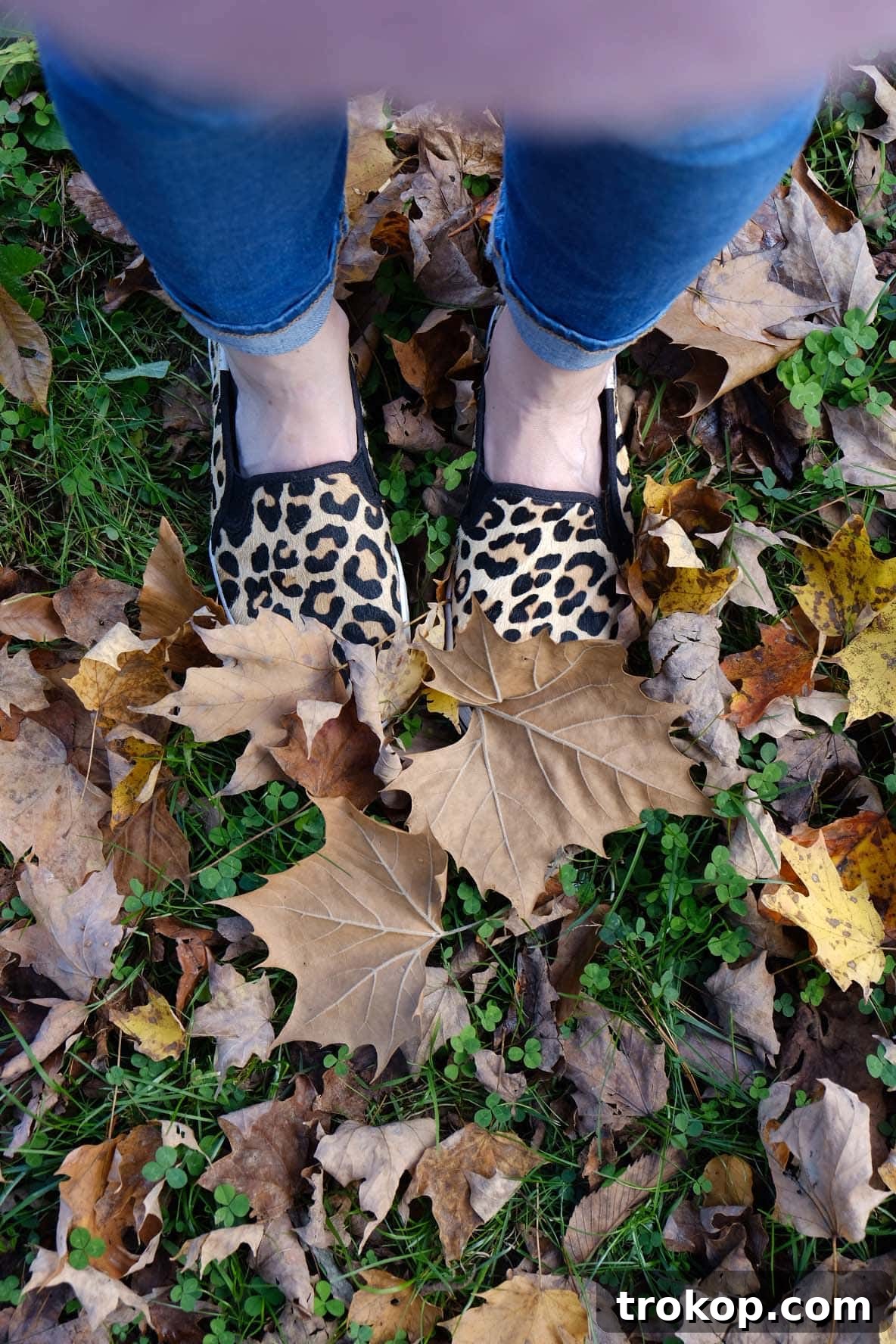 Capturing the beauty of fall in West Virginia with family, sharing personal moments on Sugar and Cloth
