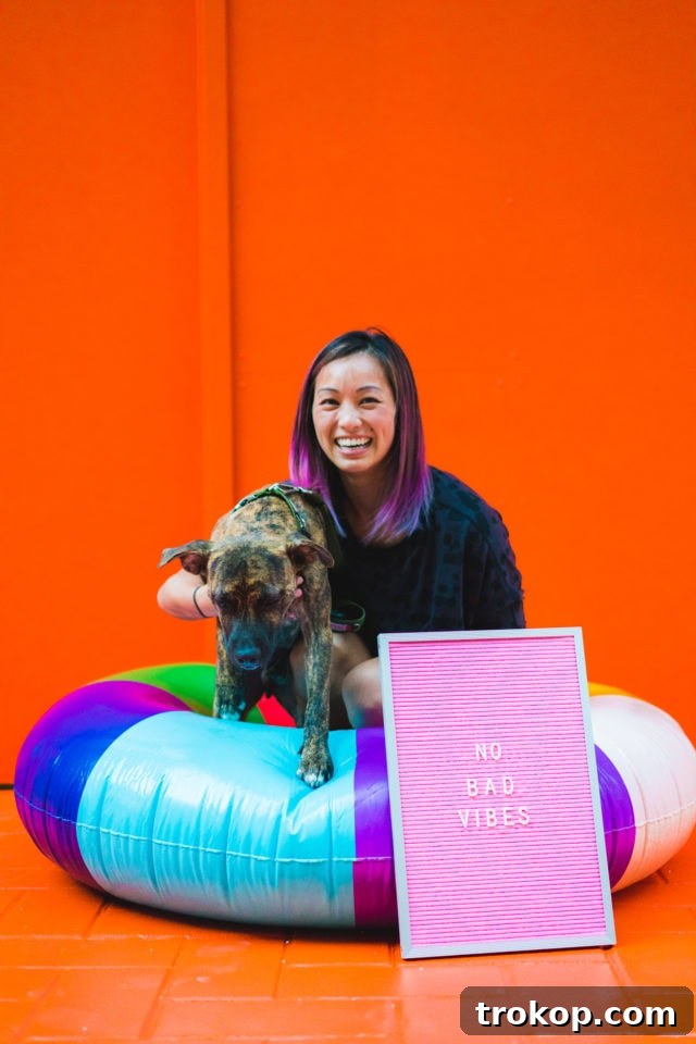 Sugar and Cloth's Colorful New Wall Debut Party Highlights 11 Joyful Moments and Creative Backdrops at the Color Wall Launch