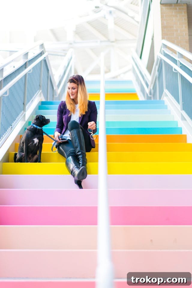 Sugar and Cloth's Colorful New Wall Debut Party Highlights 4 Visitors Engaging with the New Sugar & Cloth Color Wall in Houston