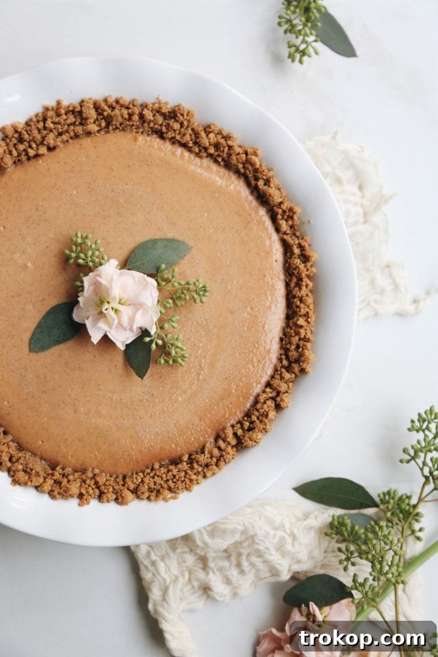 Gingersnap Pumpkin Pie Ready to Serve