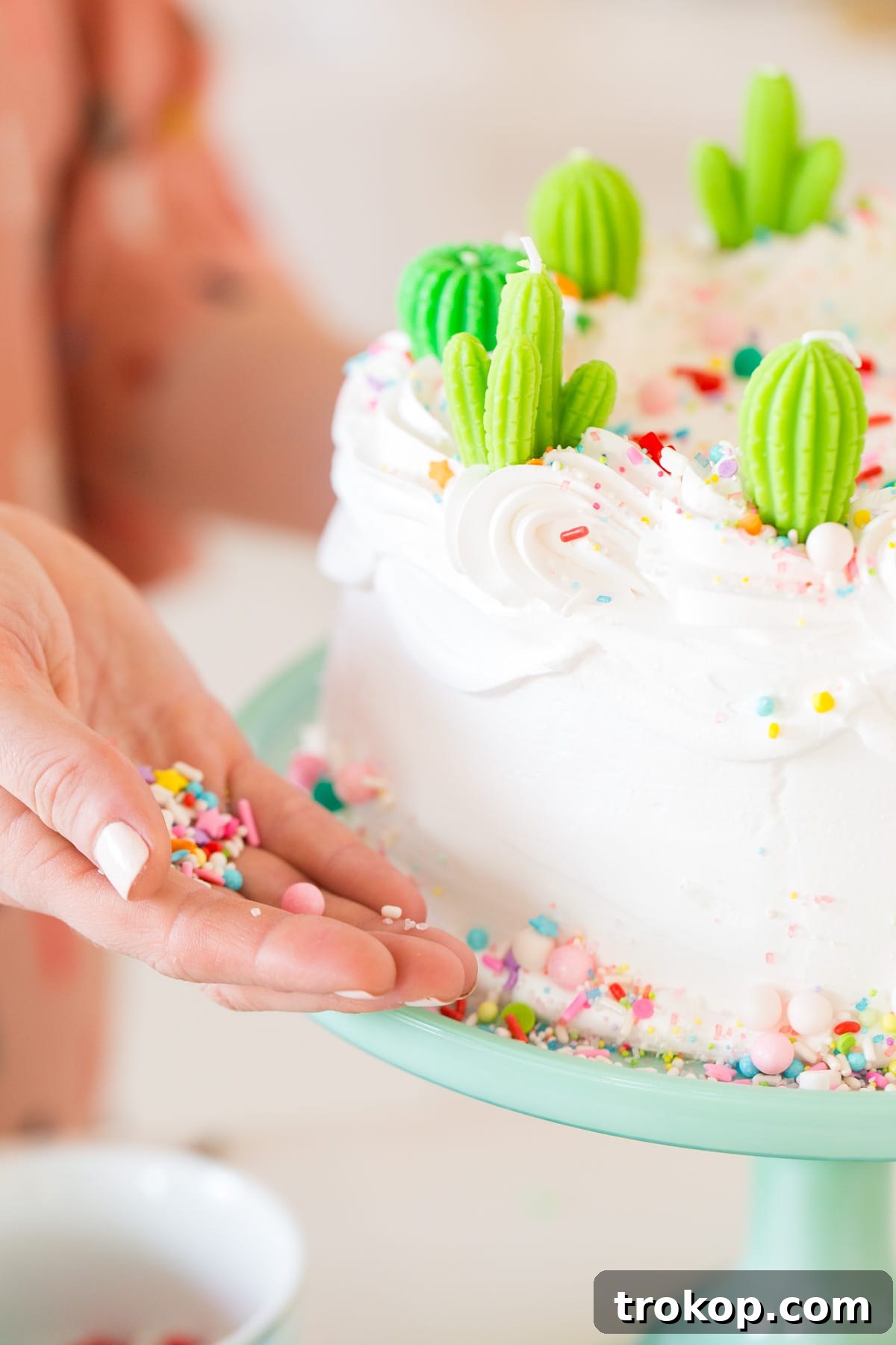 Everything Sweet Cake & Starting A New Holiday Dessert Tradition by top Houston lifestyle blogger Ashley Rose of Sugar & Cloth