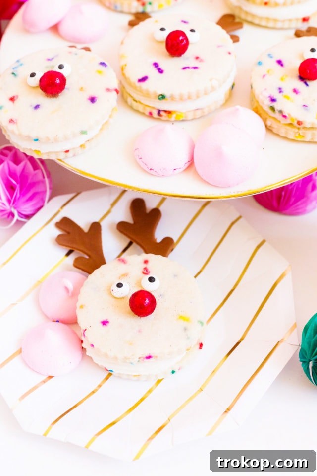 Magical Reindeer Funfetti Treats 10 Selection of various cookies on a tray, hinting at more recipe ideas.