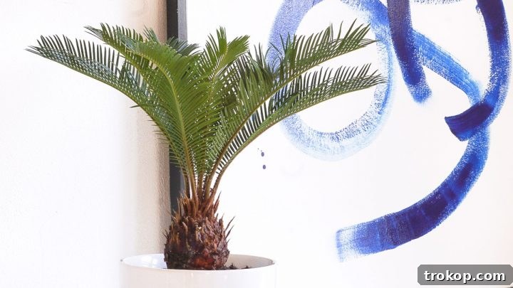 DIY Mid Century Modern Planter