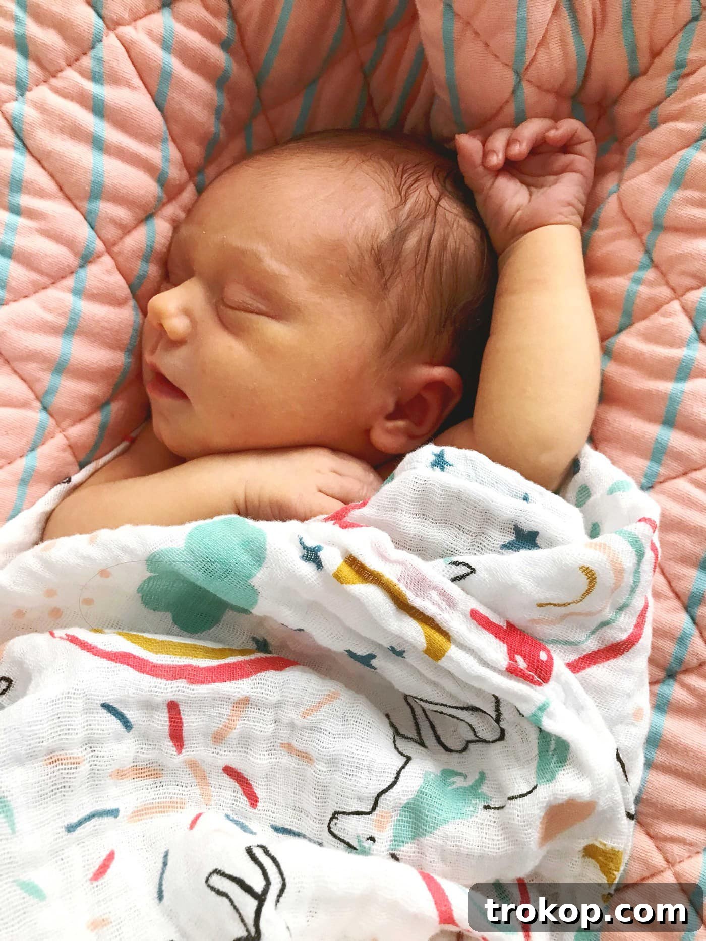 Little Sugar & Cloth: Introducing Gwen Emerson!