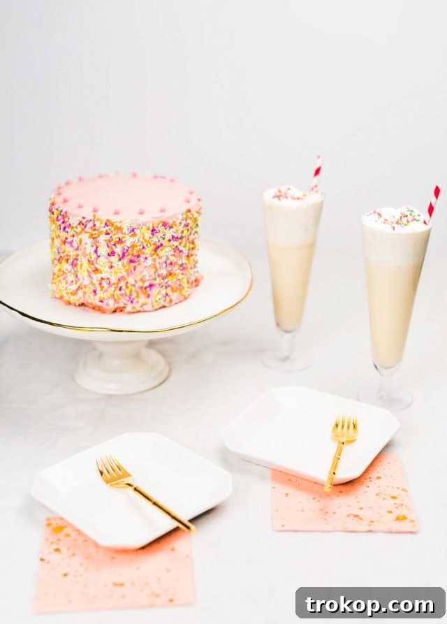 Mix Up the Party: Birthday Cocktail Recipes 6 img 33828 5