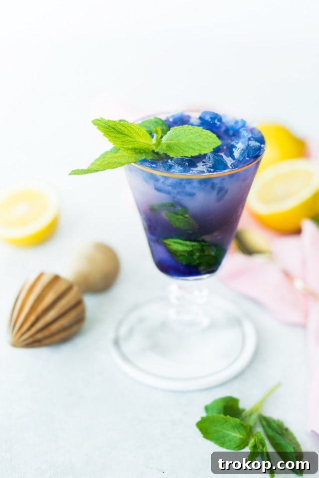 Magic Color-Changing Butterfly Pea Cocktails 2 Magic Color Changing Mint Julep Recipe by top Houston lifestyle blogger Ashley Rose of Sugar & Cloth