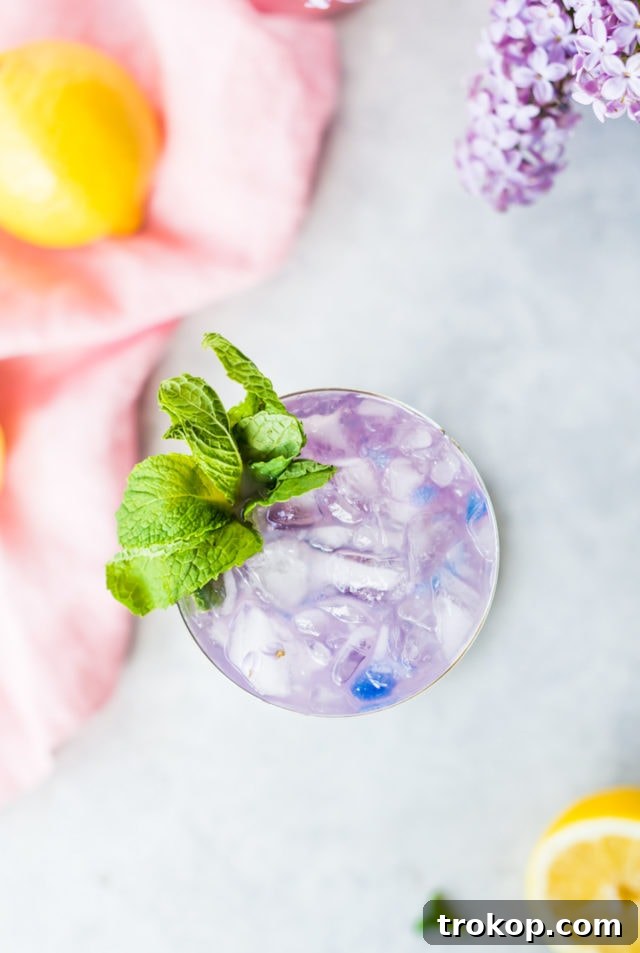 Magic Color-Changing Butterfly Pea Cocktails 11 Magic Color Changing Mint Julep Recipe by top Houston lifestyle blogger Ashley Rose of Sugar & Cloth