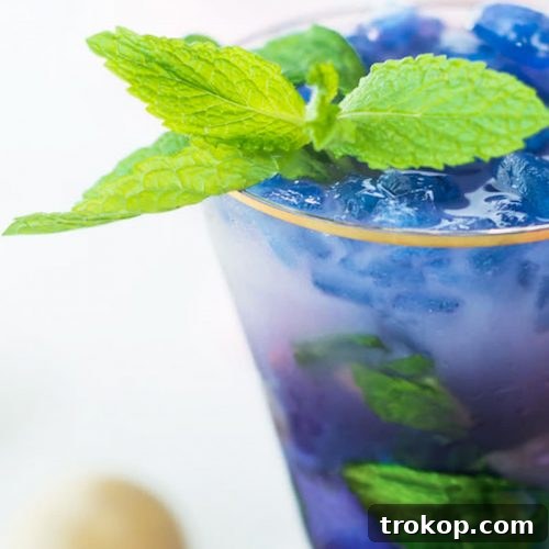 Magic Color Changing Mint Julep Recipe by top Houston lifestyle blogger Ashley Rose of Sugar & Cloth