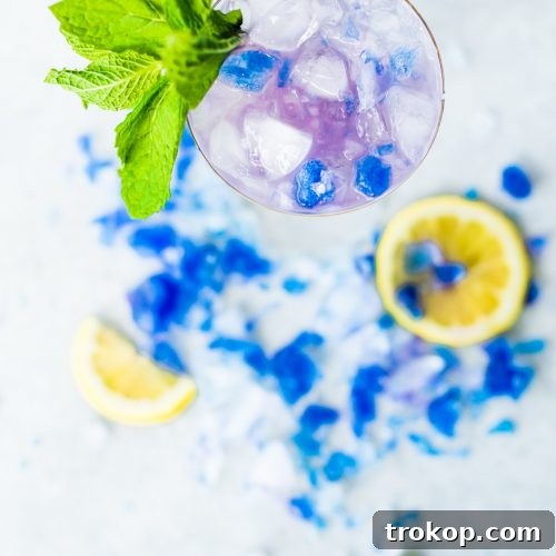 Magic Color Changing Mint Julep Recipe by top Houston lifestyle blogger Ashley Rose of Sugar & Cloth