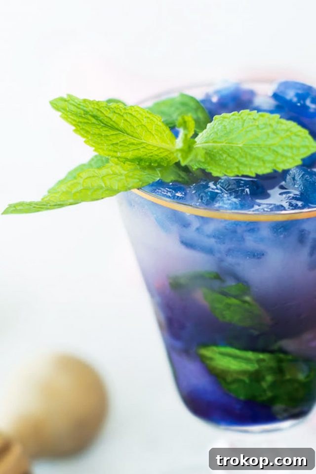 Magic Color-Changing Butterfly Pea Cocktails 3 photo of a close up of the magic color changing Butterfly Pea Flower Tea Cocktail recipe by top Houston lifestyle blogger Ashley Rose of Sugar & Cloth