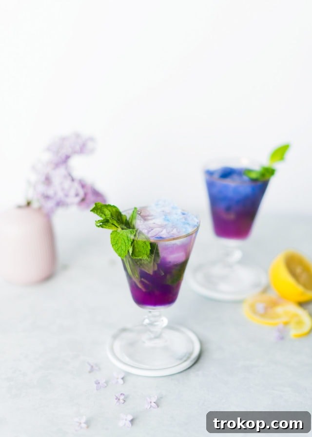 Magic Color-Changing Butterfly Pea Cocktails 4 photo of the Butterfly Pea Flower Tea Cocktail changing from blue tea to purple by top Houston lifestyle blogger Ashley Rose of Sugar & Cloth