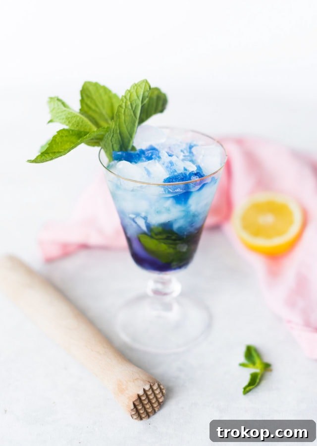 Magic Color-Changing Butterfly Pea Cocktails 6 photo of the Butterfly Pea Flower Tea Cocktail before it changes colors by top Houston lifestyle blogger Ashley Rose of Sugar & Cloth
