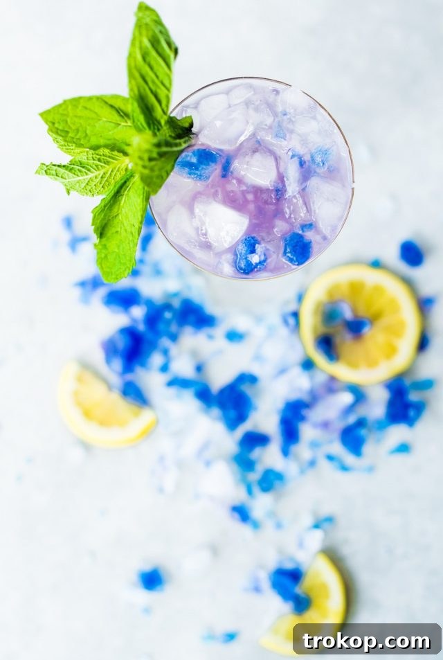 Magic Color-Changing Butterfly Pea Cocktails 8 photo of the Butterfly Pea Flower Tea Cocktail from above by top Houston lifestyle blogger Ashley Rose of Sugar & Cloth
