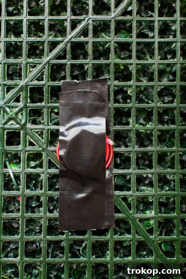 Lush Greenery Meets Neon Radiance 12 Gorilla tape securing EL wire on boxwood