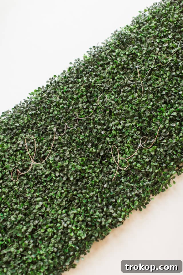 Lush Greenery Meets Neon Radiance 6 Planning neon sign placement on boxwood
