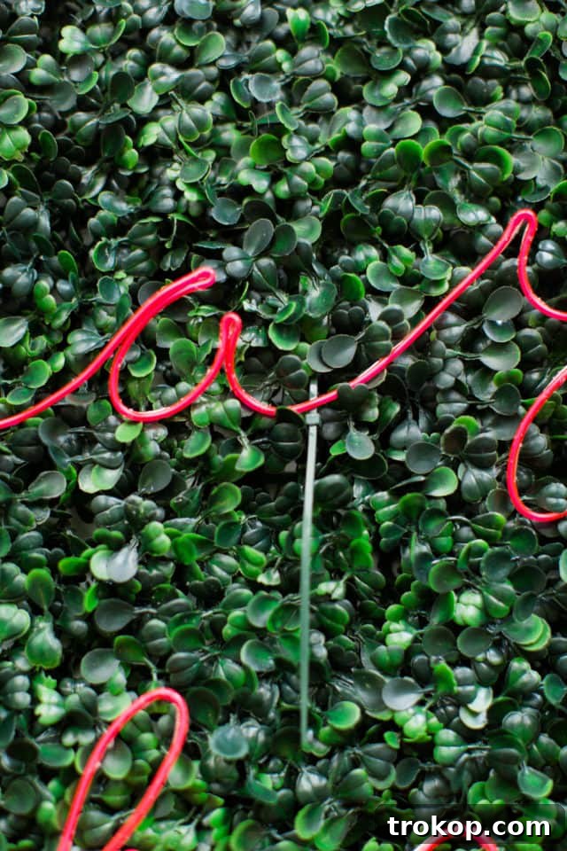 Lush Greenery Meets Neon Radiance 10 Close-up of DIY neon sign secured to boxwood wall