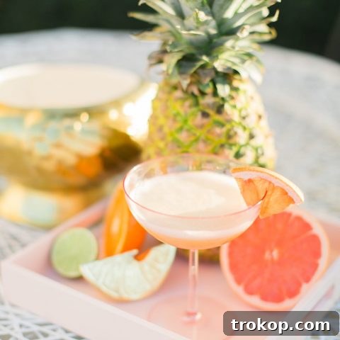 A vibrant, refreshing Frequent Flyer Gin Punch cocktail in a glass, garnished with a pineapple slice and citrus wedges, ready to be served.