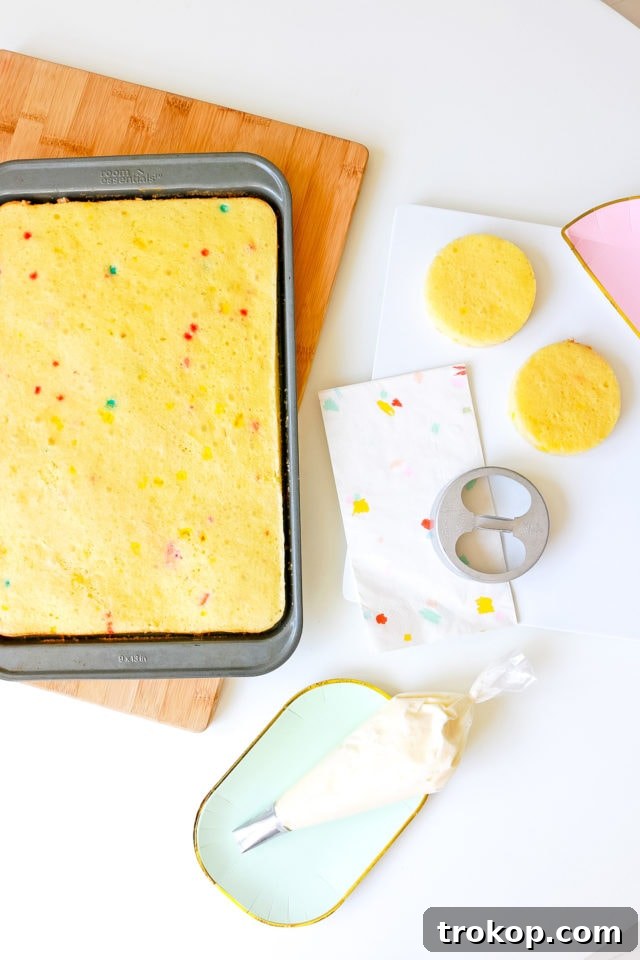 DIY Mini Confetti Print Cakes by top Houston lifestyle blogger Ashley Rose of Sugar and Cloth #recipe #diy #cake #entertaining #parties