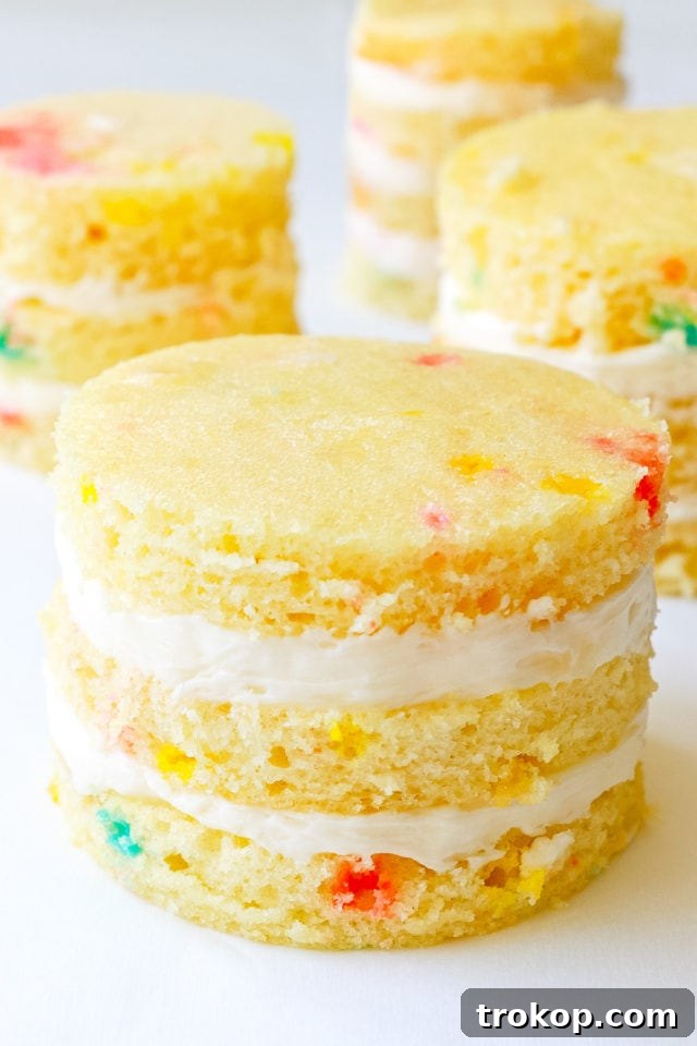 DIY Mini Confetti Print Cakes by top Houston lifestyle blogger Ashley Rose of Sugar and Cloth #recipe #diy #cake #entertaining #parties