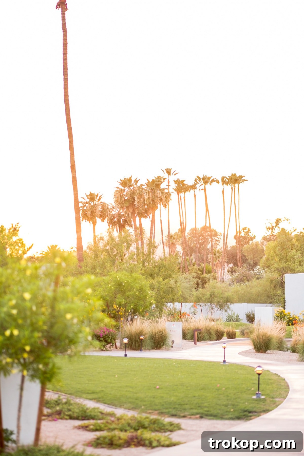Our Travels: A Friends Trip To Scottsdale, AZ by top Houston lifestyle blogger Ashley Rose of sugar and cloth