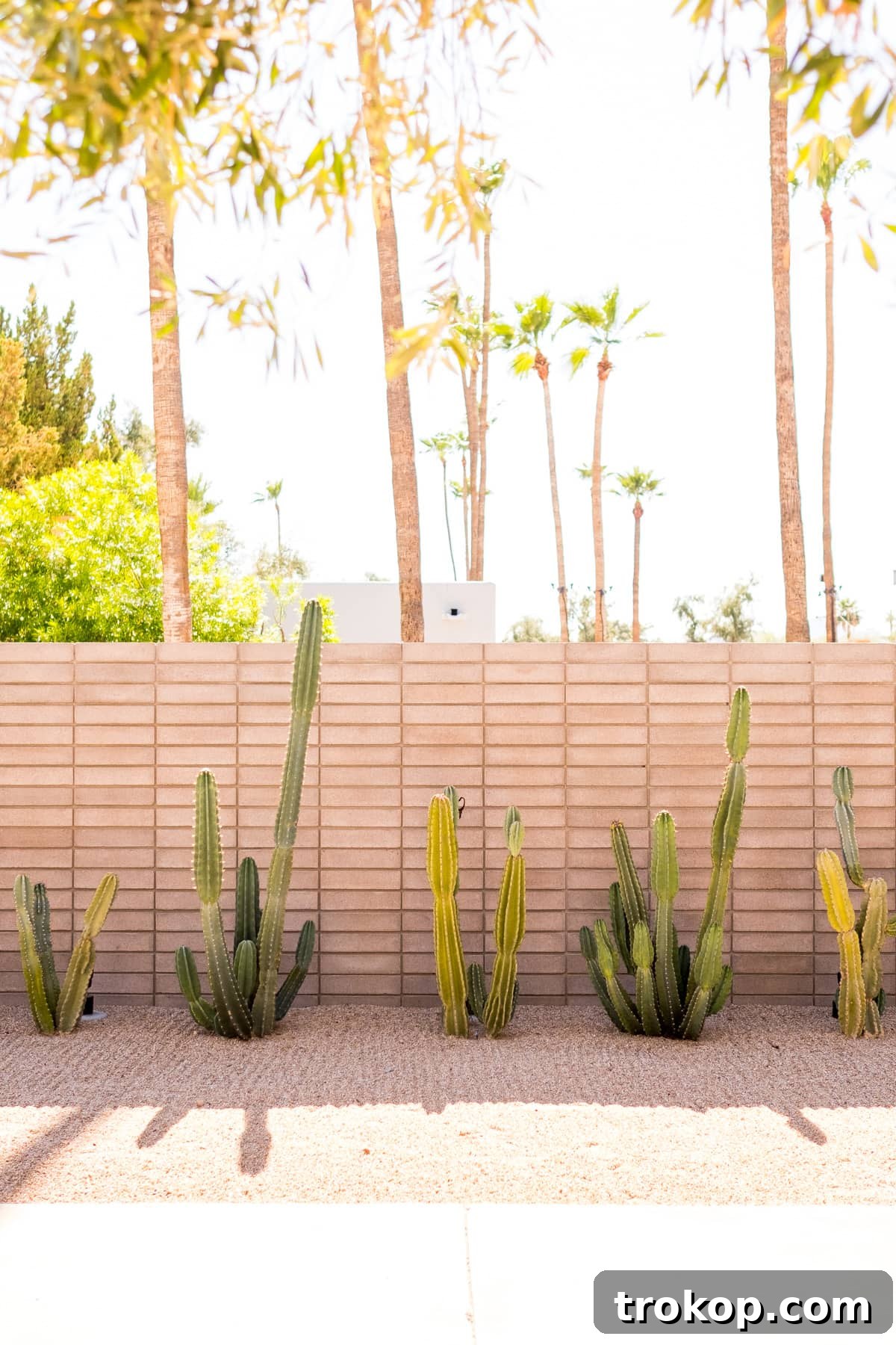 Our Travels: A Friends Trip To Scottsdale, AZ by top Houston lifestyle blogger Ashley Rose of sugar and cloth